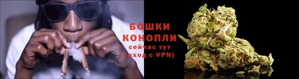 кокаин Белокуриха